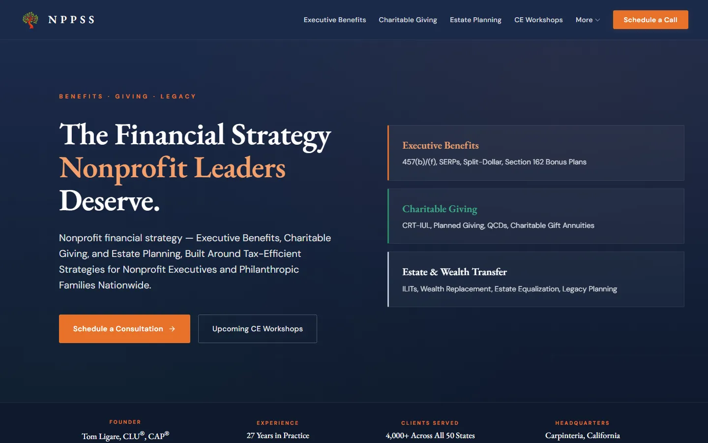 Screenshot of the Nonprofit Professional Services website